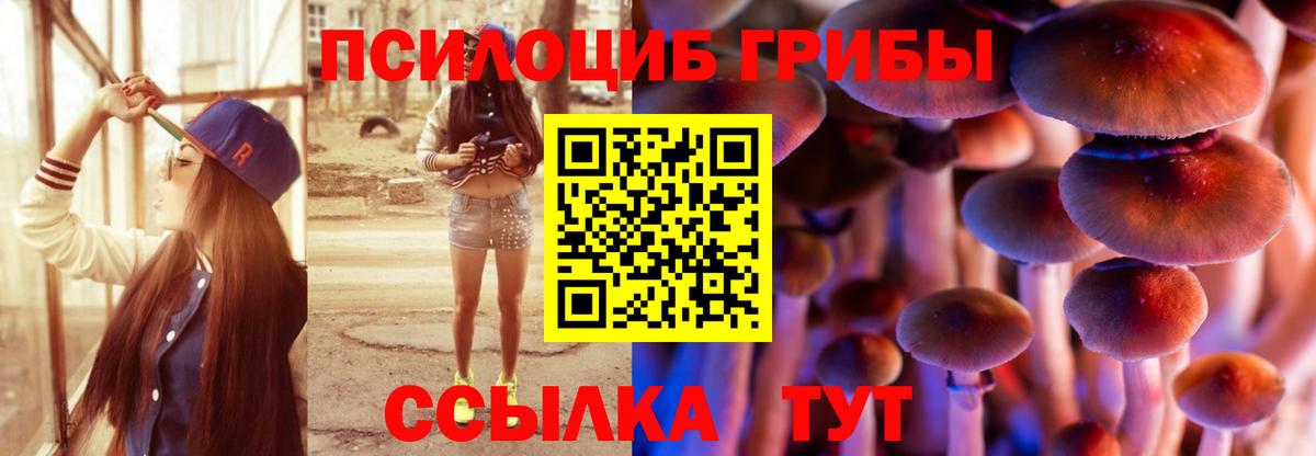 Муравленко  Галлюциногенные грибы Magic Shrooms  Галлюциногенные грибы мицелий  Вход с VPN 