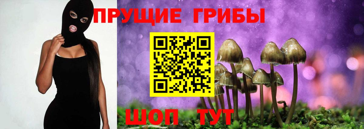 Галлюциногенные грибы Psilocybine cubensis Муравленко
